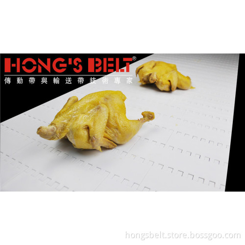 The Food Grade Meat Industry Modular Conveyor Belt (HS-100A-HD)